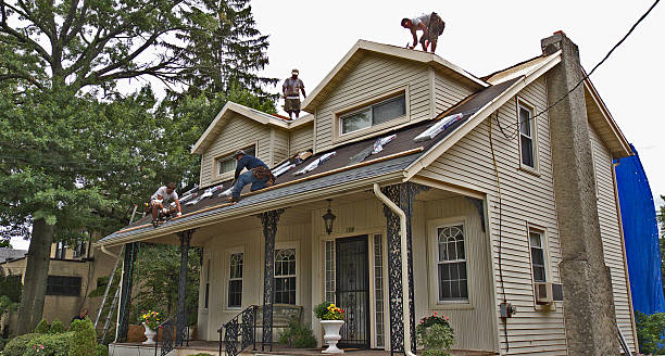 Best Storm Damage Roof Repair  in North Fort Lewis, WA