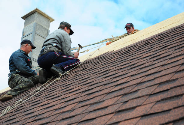 Best Roofing Contractor Near Me  in North Fort Lewis, WA